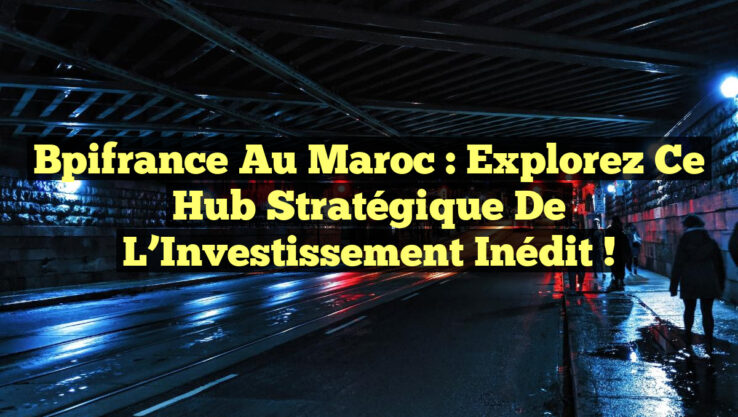 Bpifrance au Maroc : Explorez ce Hub Stratégique de l’Investissement Inédit !