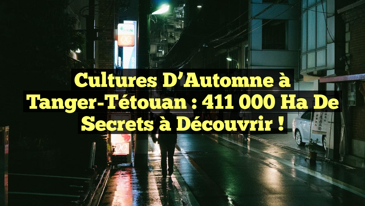Cultures d’Automne à Tanger-Tétouan : 411 000 ha de Secrets à Découvrir !