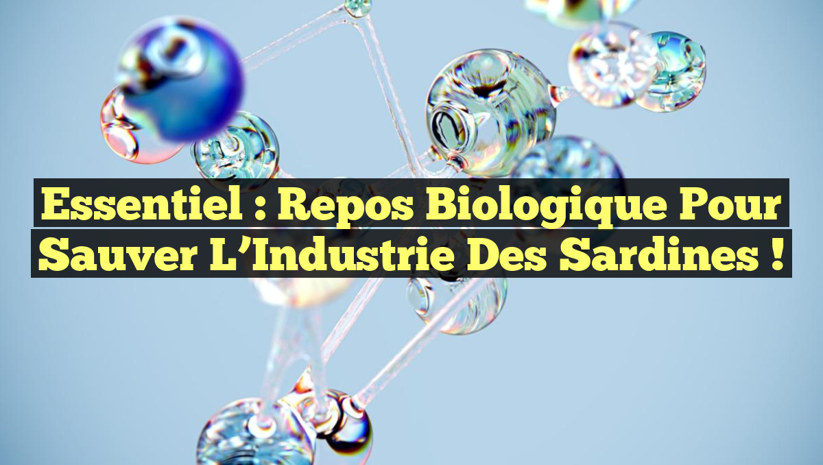 Essentiel : Repos Biologique pour Sauver l&rsquo;Industrie des Sardines !