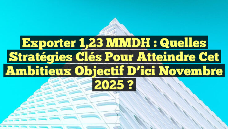 Exporter 1,23 MMDH : Quelles Stratégies Clés pour Atteindre cet Ambitieux Objectif d’ici Novembre 2025 ?