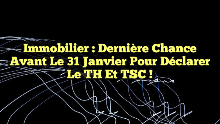 Immobilier : Dernière chance avant le 31 janvier pour déclarer le TH et TSC !