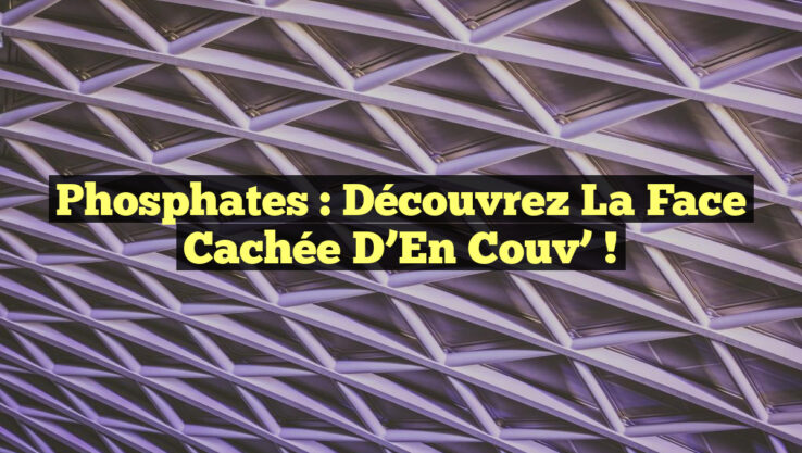Phosphates : Découvrez la face cachée d’En Couv’ !