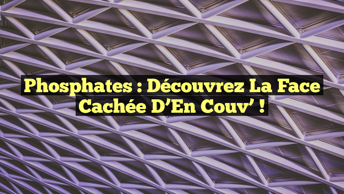 Phosphates : Découvrez la face cachée d&rsquo;En Couv’ !