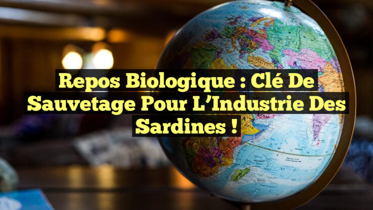 Repos Biologique : Clé de Sauvetage pour l’Industrie des Sardines !