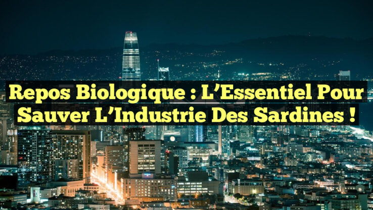 Repos Biologique : L’Essentiel Pour Sauver l’Industrie des Sardines !