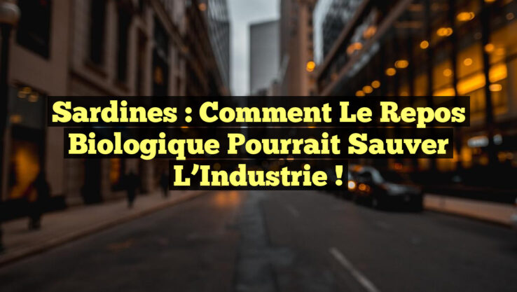<p><strong>Sardines : Comment le Repos Biologique pourrait Sauver l’Industrie !</strong></p> Sardines : Comment le Repos Biologique pourrait Sauver l’Industrie !