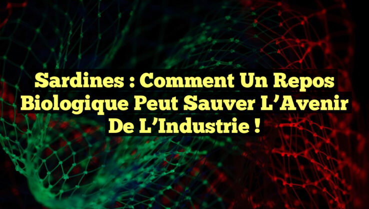 <p><strong>Sardines : Comment un Repos Biologique Peut Sauver l’Avenir de l’Industrie !</strong></p> Sardines : Comment un Repos Biologique Peut Sauver l’Avenir de l’Industrie !