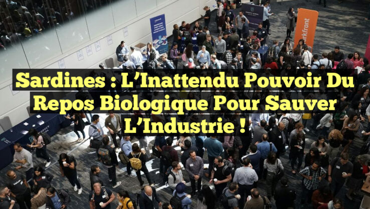 <p><strong>Sardines : L’Inattendu Pouvoir du Repos Biologique pour Sauver l’Industrie !</strong></p> Sardines : L’Inattendu Pouvoir du Repos Biologique pour Sauver l’Industrie !
