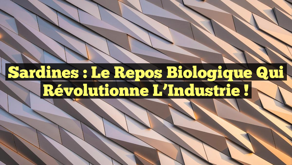 Sardines : Le Repos Biologique qui Révolutionne l’Industrie !