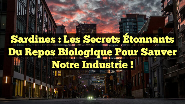 <p><strong>Sardines : Les Secrets Étonnants du Repos Biologique pour Sauver notre Industrie !</strong></p> Sardines : Les Secrets Étonnants du Repos Biologique pour Sauver notre Industrie !