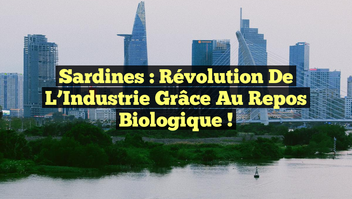 Sardines : Révolution de l&rsquo;Industrie grâce au Repos Biologique !