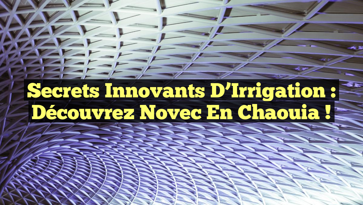 Secrets Innovants d&rsquo;Irrigation : Découvrez Novec en Chaouia !