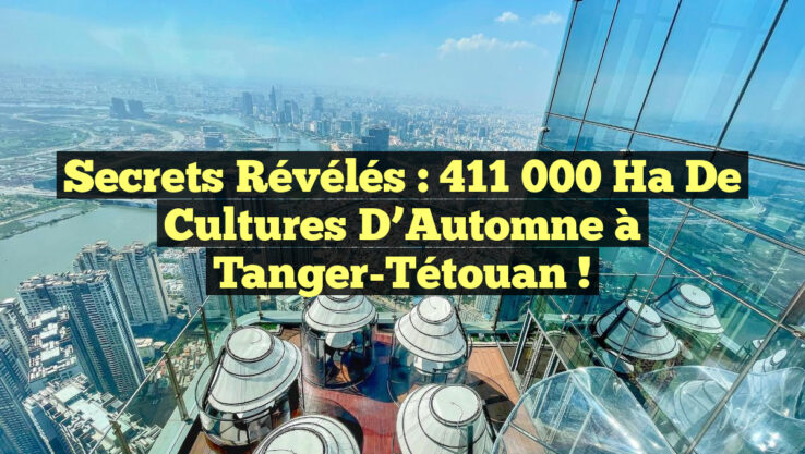 Secrets Révélés : 411 000 ha de Cultures d’Automne à Tanger-Tétouan !
