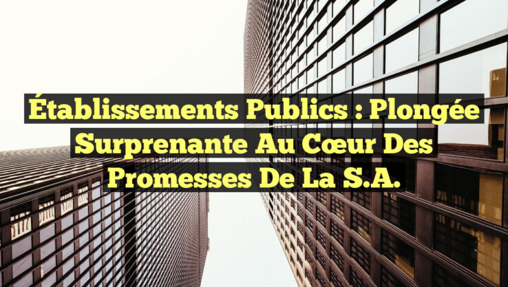 Établissements Publics : Plongée Surprenante au Cœur des Promesses de la S.A.