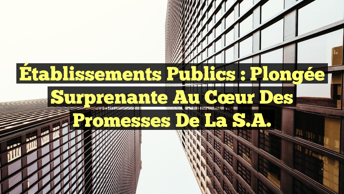 Établissements Publics : Plongée Surprenante au Cœur des Promesses de la S.A.