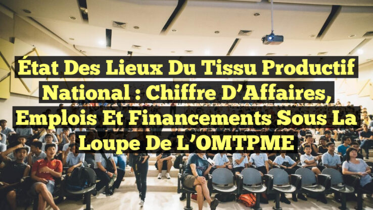 État des Lieux du Tissu Productif National : Chiffre d’Affaires, Emplois et Financements sous la Loupe de l’OMTPME