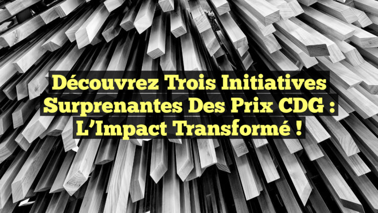 Découvrez Trois Initiatives Surprenantes des Prix CDG : L’Impact Transformé !