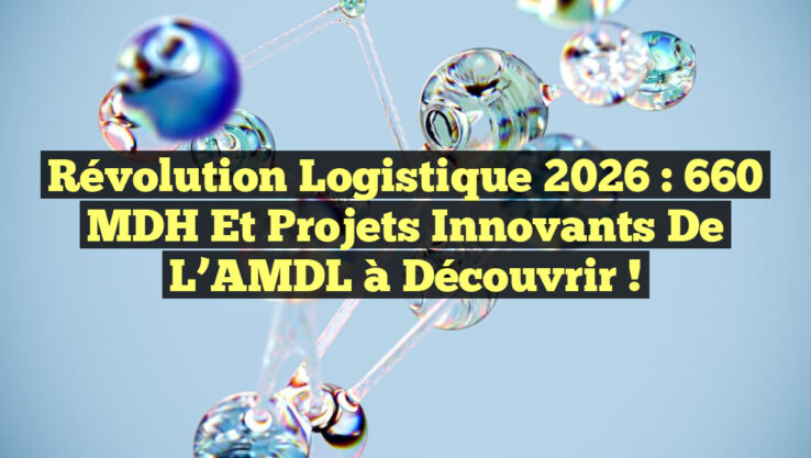Révolution Logistique 2026 : 660 MDH et Projets Innovants de l’AMDL à Découvrir !