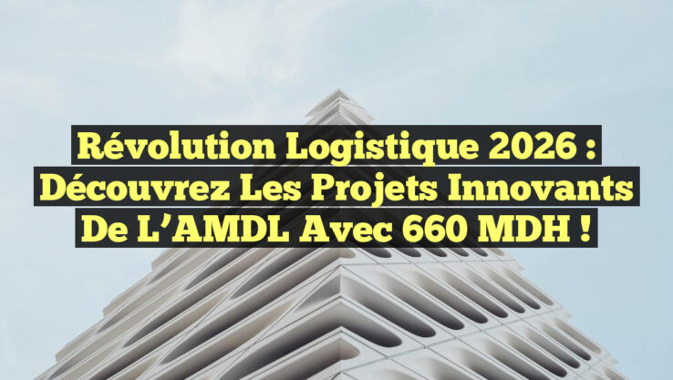 Révolution Logistique 2026 : Découvrez les Projets Innovants de l’AMDL avec 660 MDH !