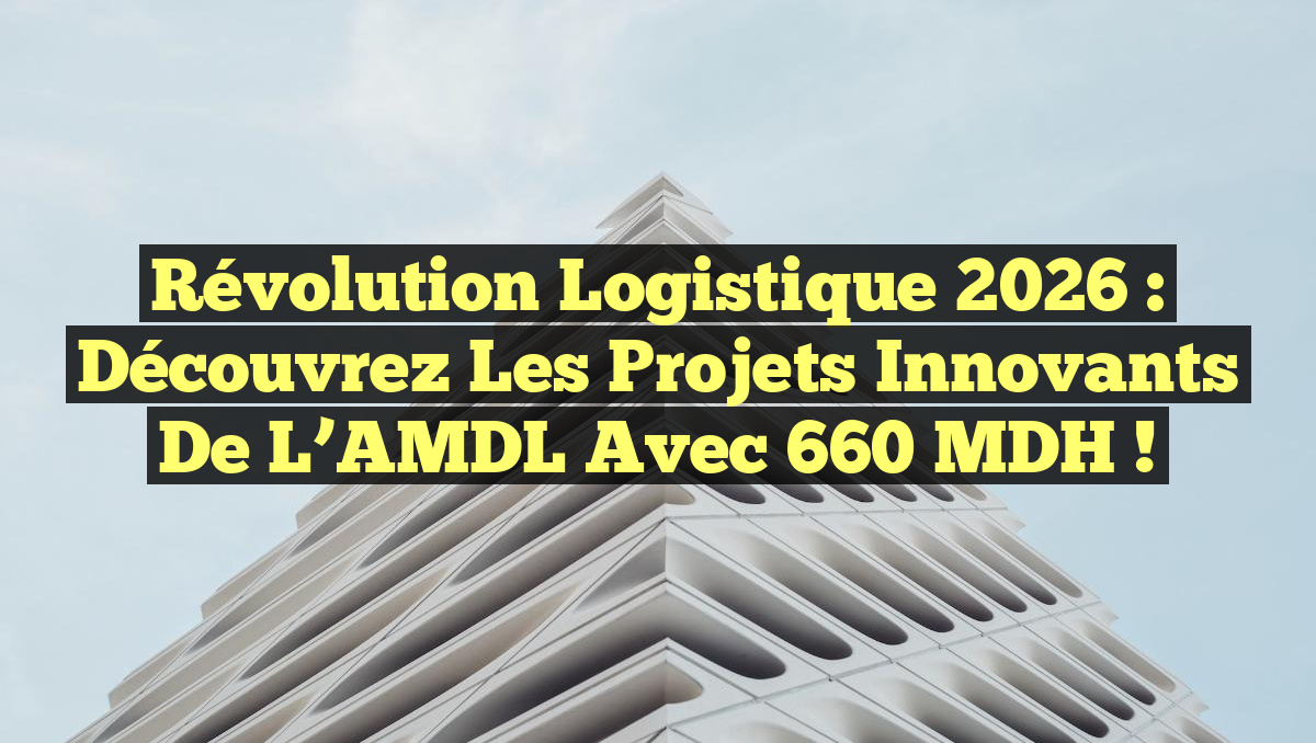Révolution Logistique 2026 : Découvrez les Projets Innovants de l’AMDL avec 660 MDH !