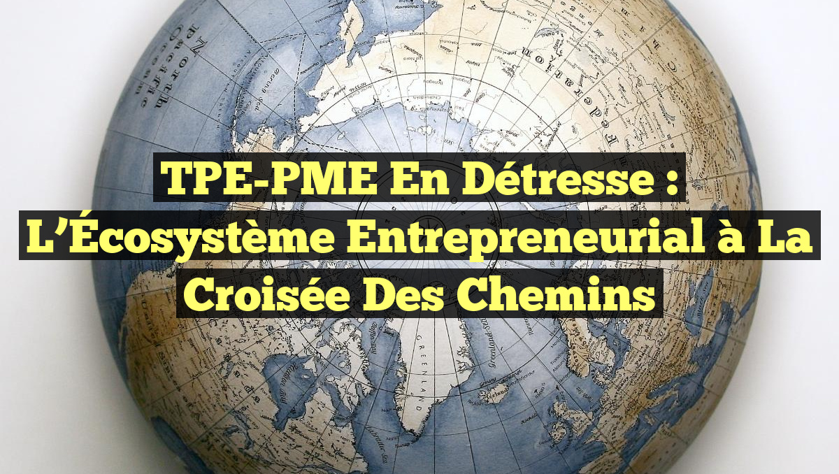 TPE-PME en Détresse : L’Écosystème Entrepreneurial à la Croisée des Chemins
