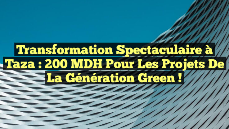 Transformation spectaculaire à Taza : 200 MDH pour les projets de la Génération Green !