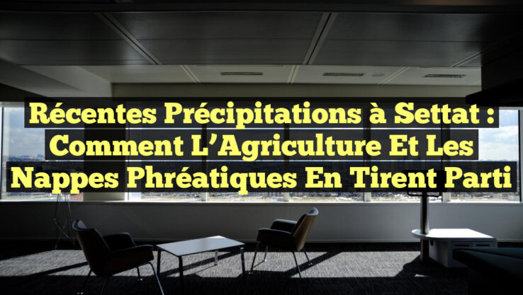 Récentes Précipitations à Settat : Comment l’Agriculture et les Nappes Phréatiques en Tirent Parti
