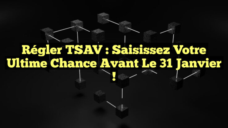 Régler TSAV : Saisissez Votre Ultime Chance Avant le 31 Janvier !