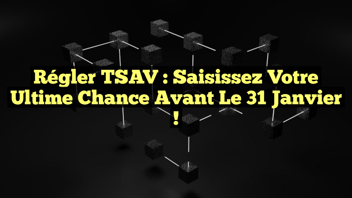 Régler TSAV : Saisissez Votre Ultime Chance Avant le 31 Janvier !