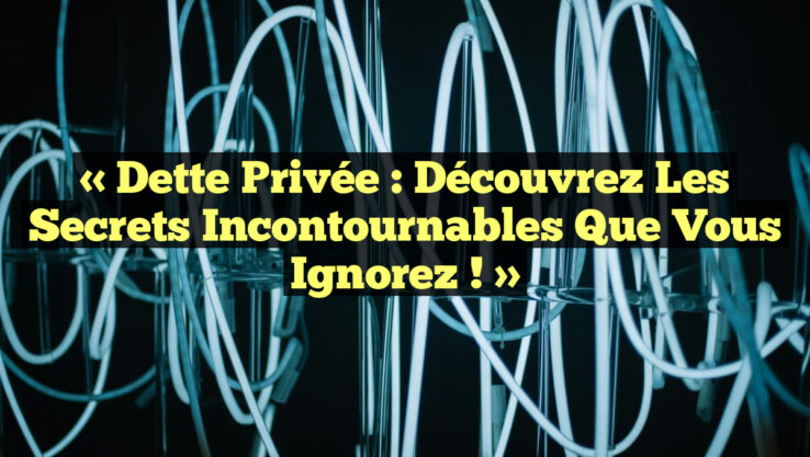 « Dette Privée : Découvrez les Secrets Incontournables que Vous Ignorez ! »