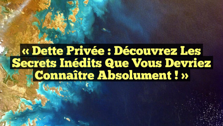 « Dette Privée : Découvrez les Secrets Inédits Que Vous Devriez Connaître Absolument ! »