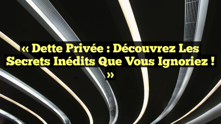 « Dette Privée : Découvrez les Secrets Inédits Que Vous Ignoriez ! »