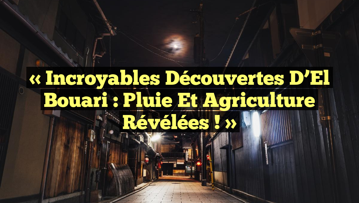 « Incroyables Découvertes d’El Bouari : Pluie et Agriculture Révélées ! »