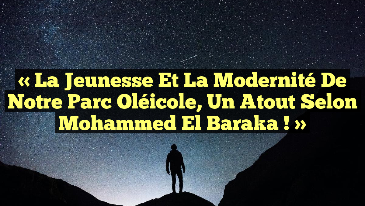 « La jeunesse et la modernité de notre parc oléicole, un atout selon Mohammed El Baraka ! »