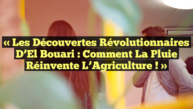 « Les Découvertes Révolutionnaires d’El Bouari : Comment la Pluie Réinvente l’Agriculture ! »