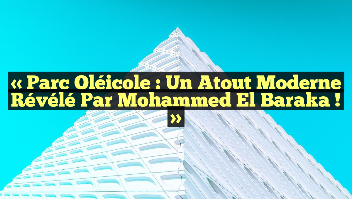 « Parc oléicole : un atout moderne révélé par Mohammed El Baraka ! »