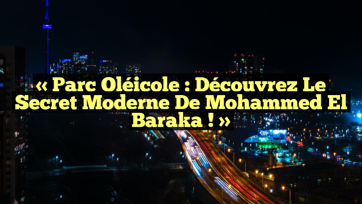 « Parc oléicole : Découvrez le secret moderne de Mohammed El Baraka ! »