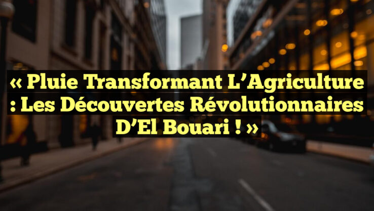 « Pluie Transformant l’Agriculture : Les Découvertes Révolutionnaires d’El Bouari ! »