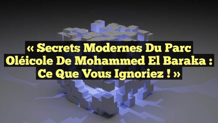 « Secrets Modernes du Parc Oléicole de Mohammed El Baraka : Ce Que Vous Ignoriez ! »