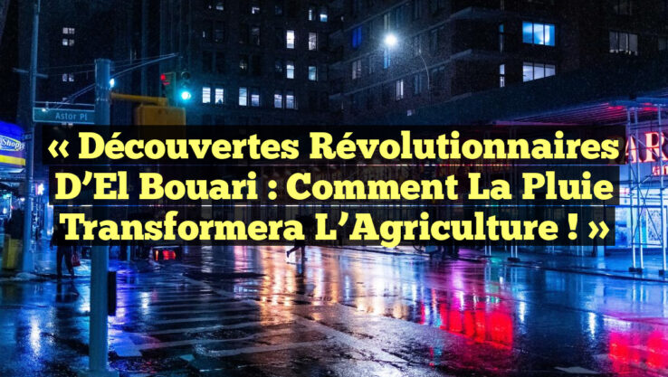 « Découvertes Révolutionnaires d’El Bouari : Comment la Pluie Transformera l’Agriculture ! »