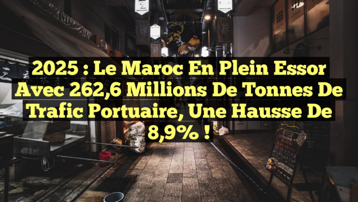2025 : Le Maroc en plein essor avec 262,6 millions de tonnes de trafic portuaire, une hausse de 8,9% !