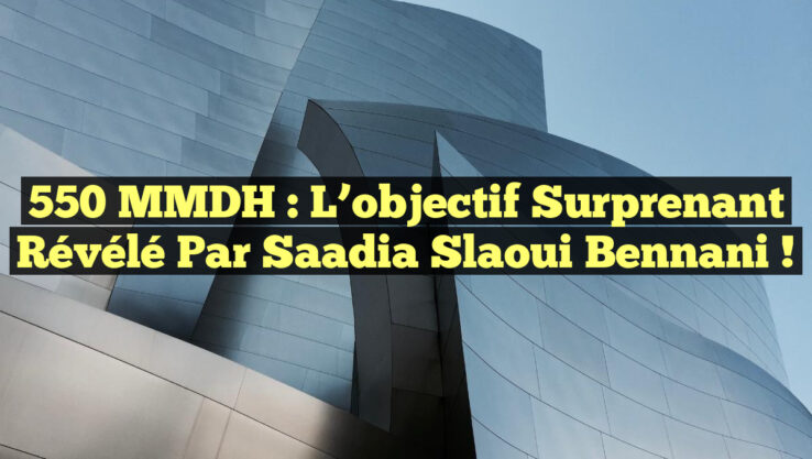 550 MMDH : L’objectif surprenant révélé par Saadia Slaoui Bennani !