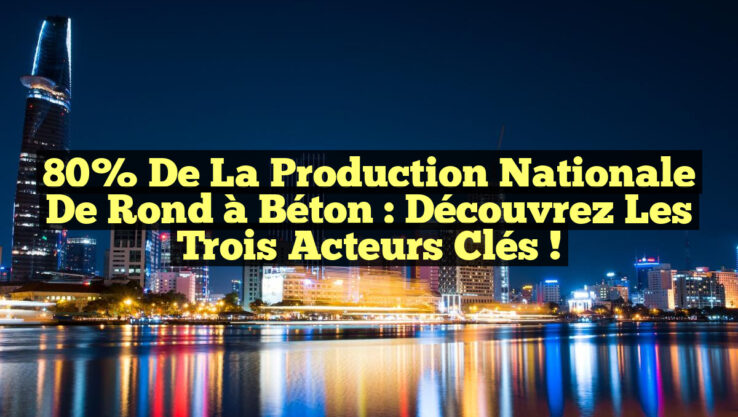 80% de la Production Nationale de Rond à Béton : Découvrez les Trois Acteurs Clés ! 80% de la Production Nationale de Rond à Béton : Découvrez les Trois Acteurs Clés !