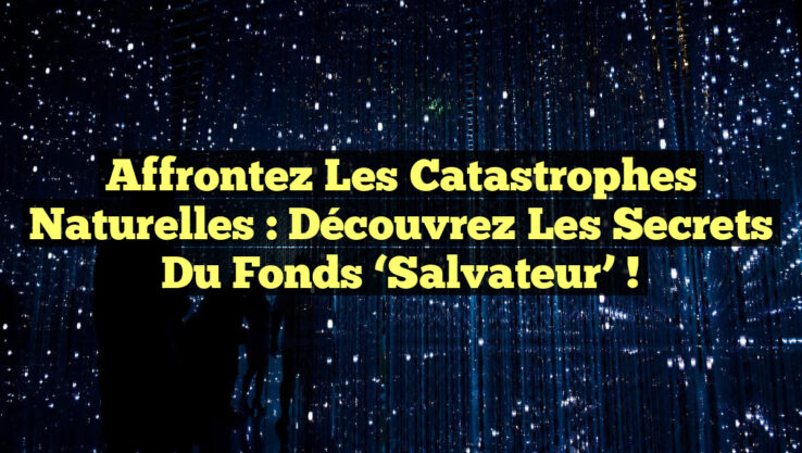 Affrontez les Catastrophes Naturelles : Découvrez les Secrets du Fonds ‘Salvateur’ !