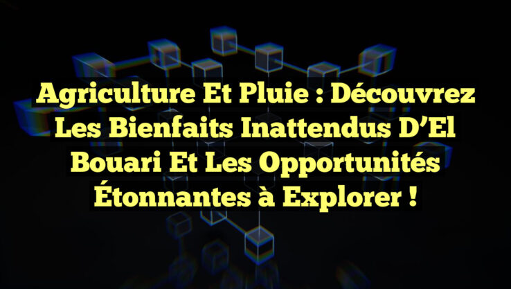 Agriculture et Pluie : Découvrez les Bienfaits Inattendus d’El Bouari et les Opportunités Étonnantes à Explorer !