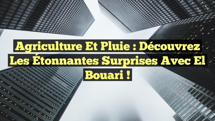 Agriculture et Pluie : Découvrez les Étonnantes Surprises avec El Bouari !
