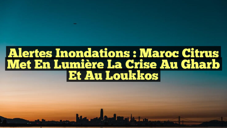 Alertes Inondations : Maroc Citrus met en lumière la crise au Gharb et au Loukkos