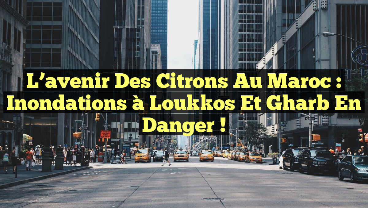 L’avenir des Citrons au Maroc : Inondations à Loukkos et Gharb en Danger !