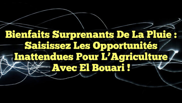 Bienfaits Surprenants de la Pluie : Saisissez les Opportunités Inattendues pour l’Agriculture avec El Bouari !