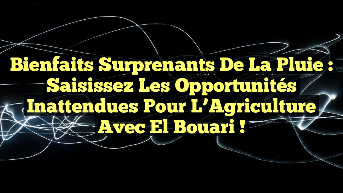Bienfaits Surprenants de la Pluie : Saisissez les Opportunités Inattendues pour l&rsquo;Agriculture avec El Bouari !